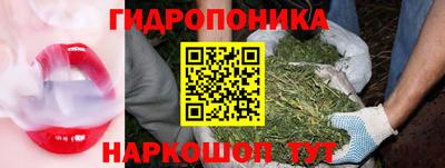 бошки Ставрополь