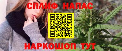 не бодяженный Сланцы