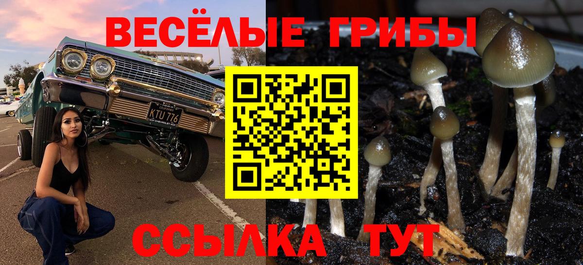 наркошоп  Галлюциногенные грибы Cubensis  Вход с VPN  Нововоронеж 