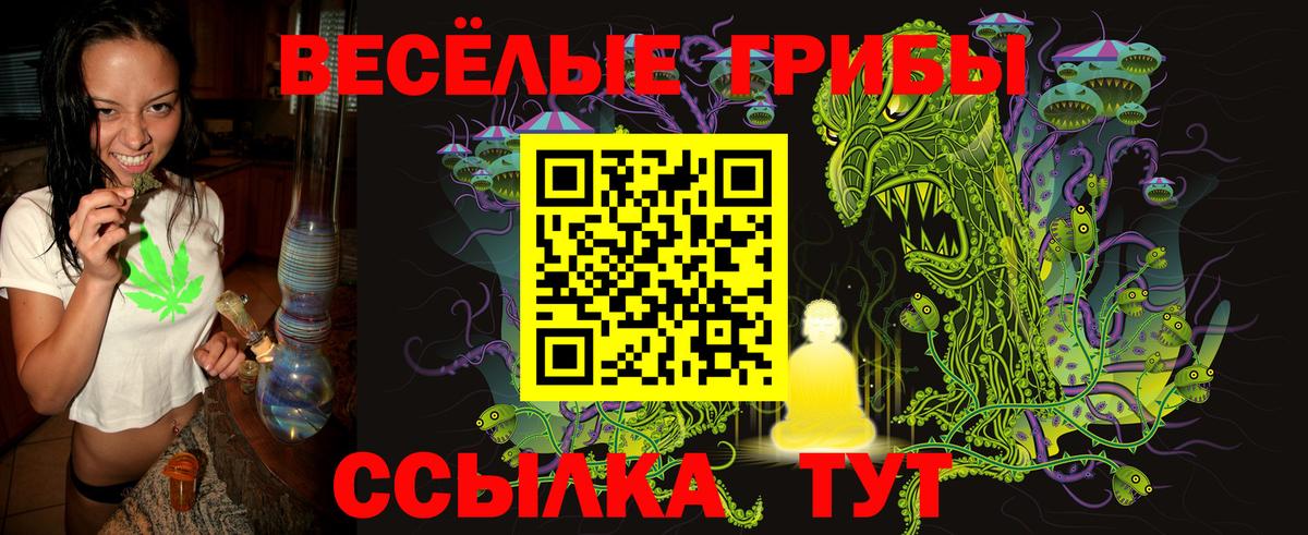 Псилоцибиновые грибы Cubensis Нововоронеж